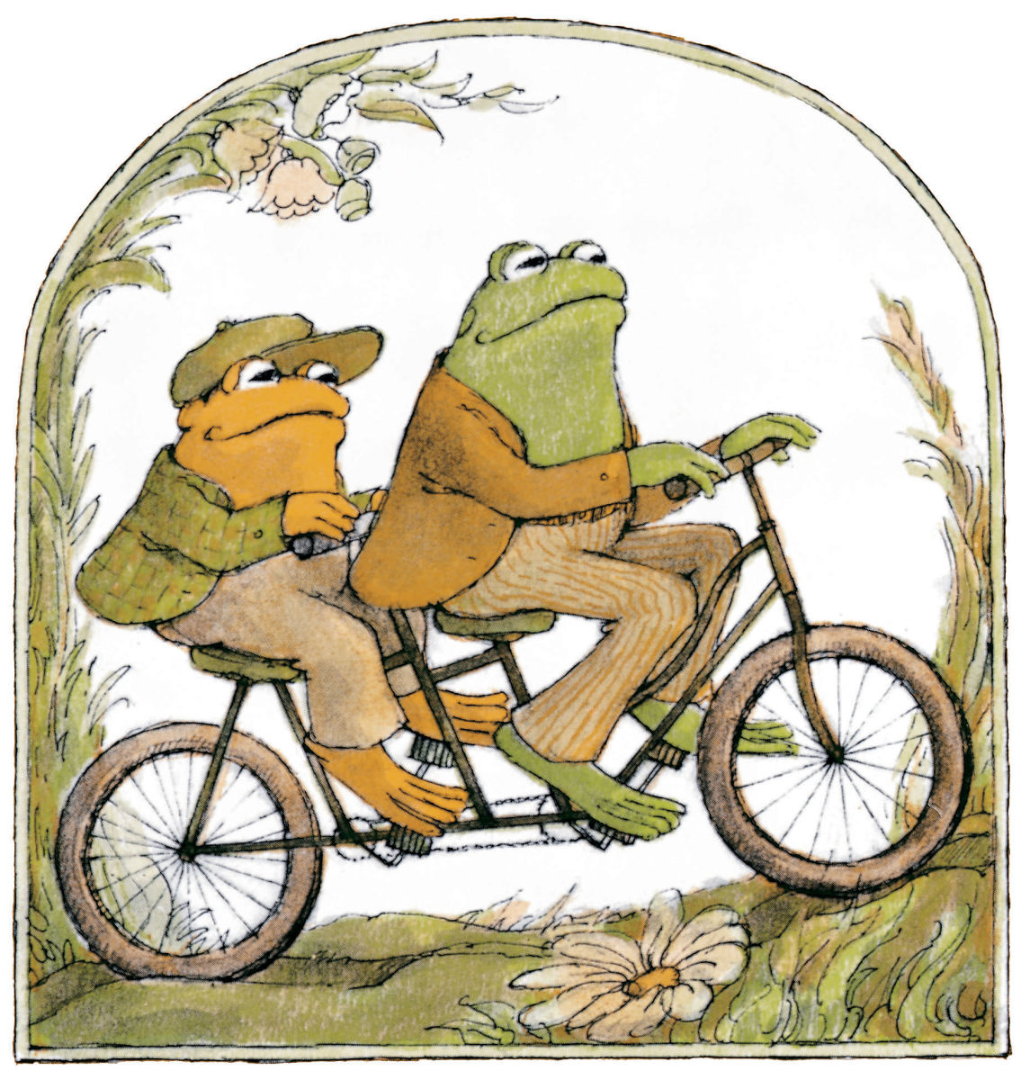 Frog-Toad-Bike