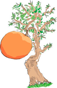 james-and-the-giant-peach-tree