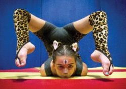 gymnastics_circus