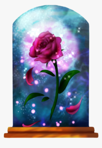 enchanted-rose